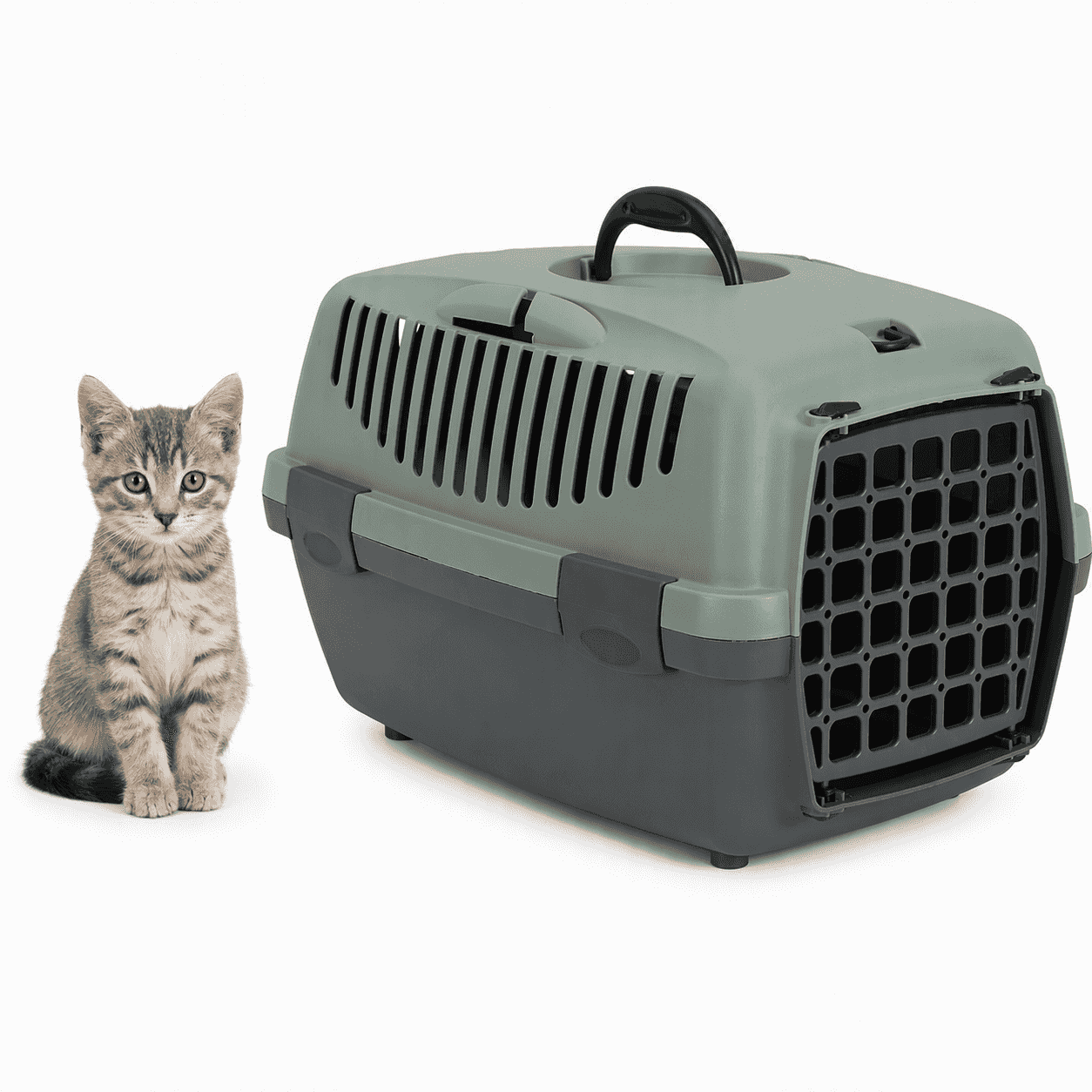 ZOLUX Transportbox für Hunde und Katzen GULLIVER 1 mit recycelter Kunststofftür