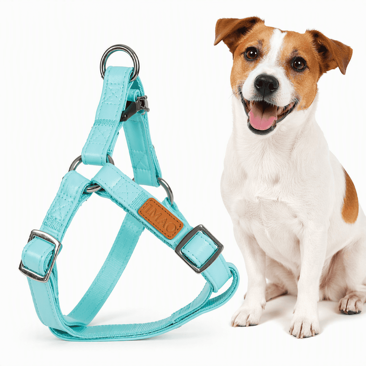 ZOLUX Geschirr für Hunde verstellbar IMAO PICCADILLY 20 mm Farbe: Türkis