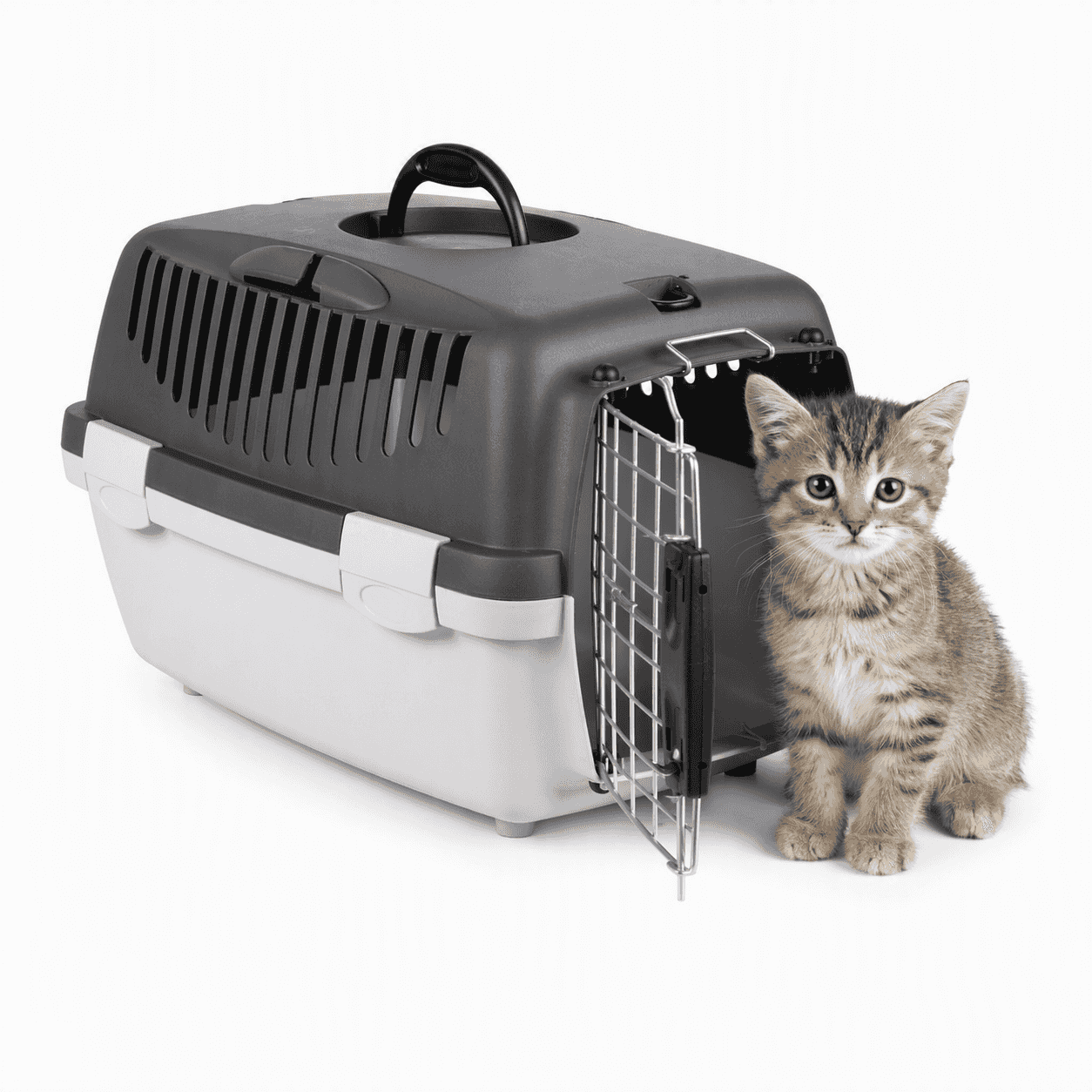 ZOLUX Katze- Hundetransportbox GULLIVER 1 DELUX