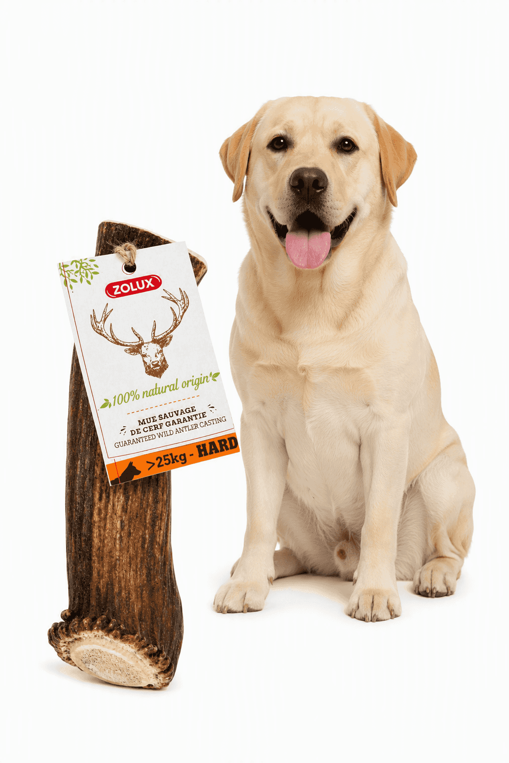ZOLUX Natürlicher Snack für Hunde – Ganzes Hirschgeweih HARD XXL