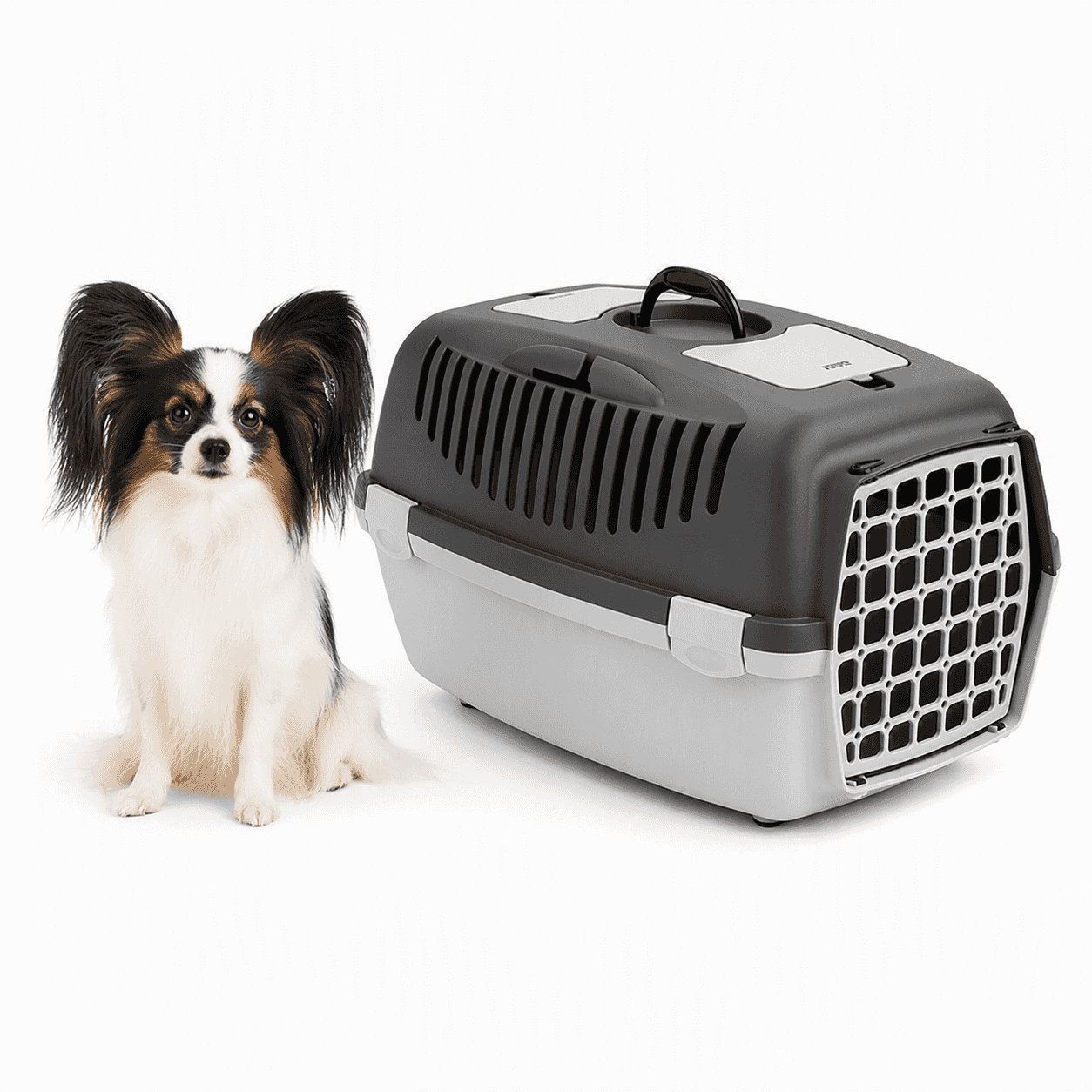 ZOLUX Transportbox für Hund, Katze GULLIVER 2 Kunststofftür Farbe: grau