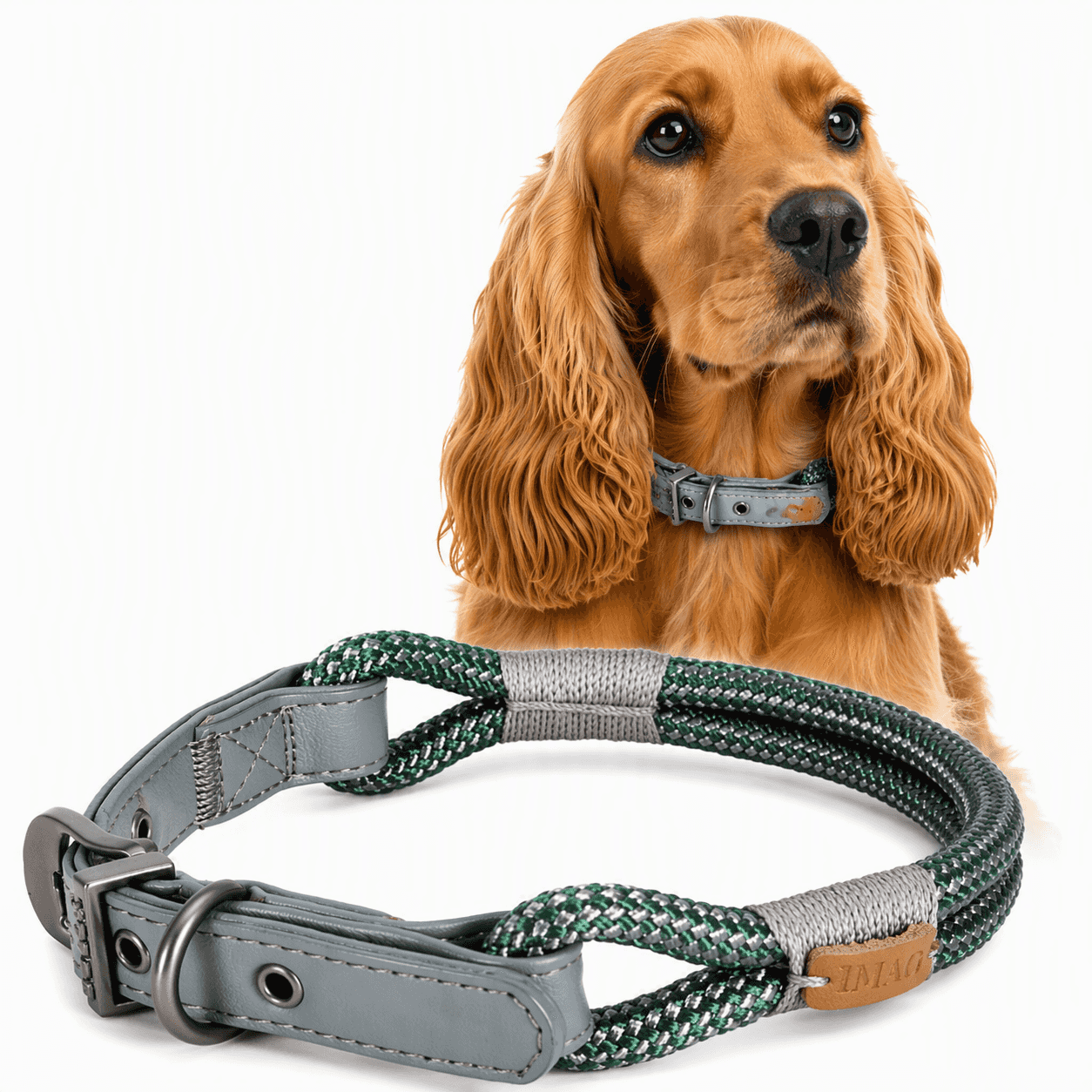 ZOLUX – Hundehalsband IMAO HYDE PARK 6 mm / 40 cm, Farbe: Grün