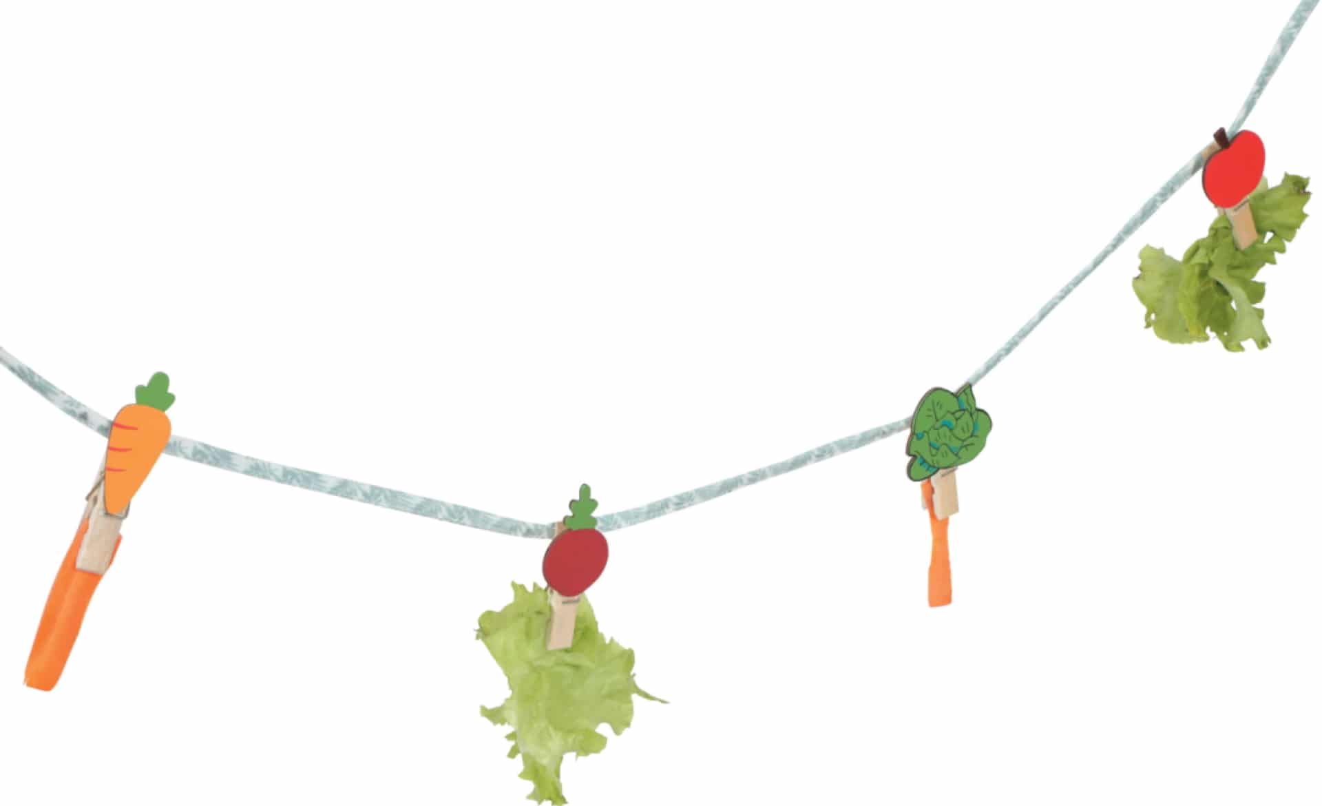 ZOLUX Seil mit Leckereien für Kaninchen NEOLIFE 150cm
