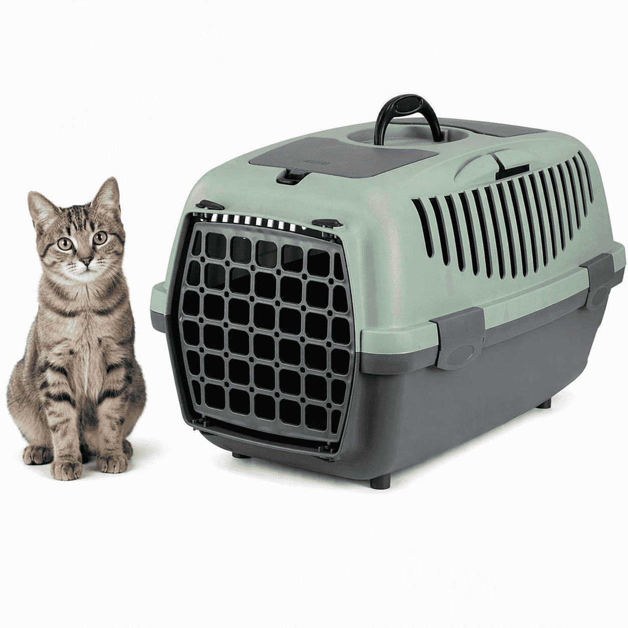 ZOLUX Transportbox für Hunde und Katzen GULLIVER 2 mit recycelter Kunststofftür