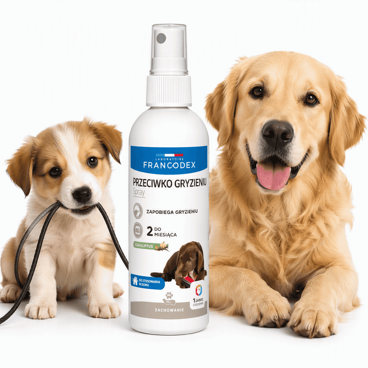 FRANCODEX ANTI-Beißen Spray für Welpen und Hunde 200ml
