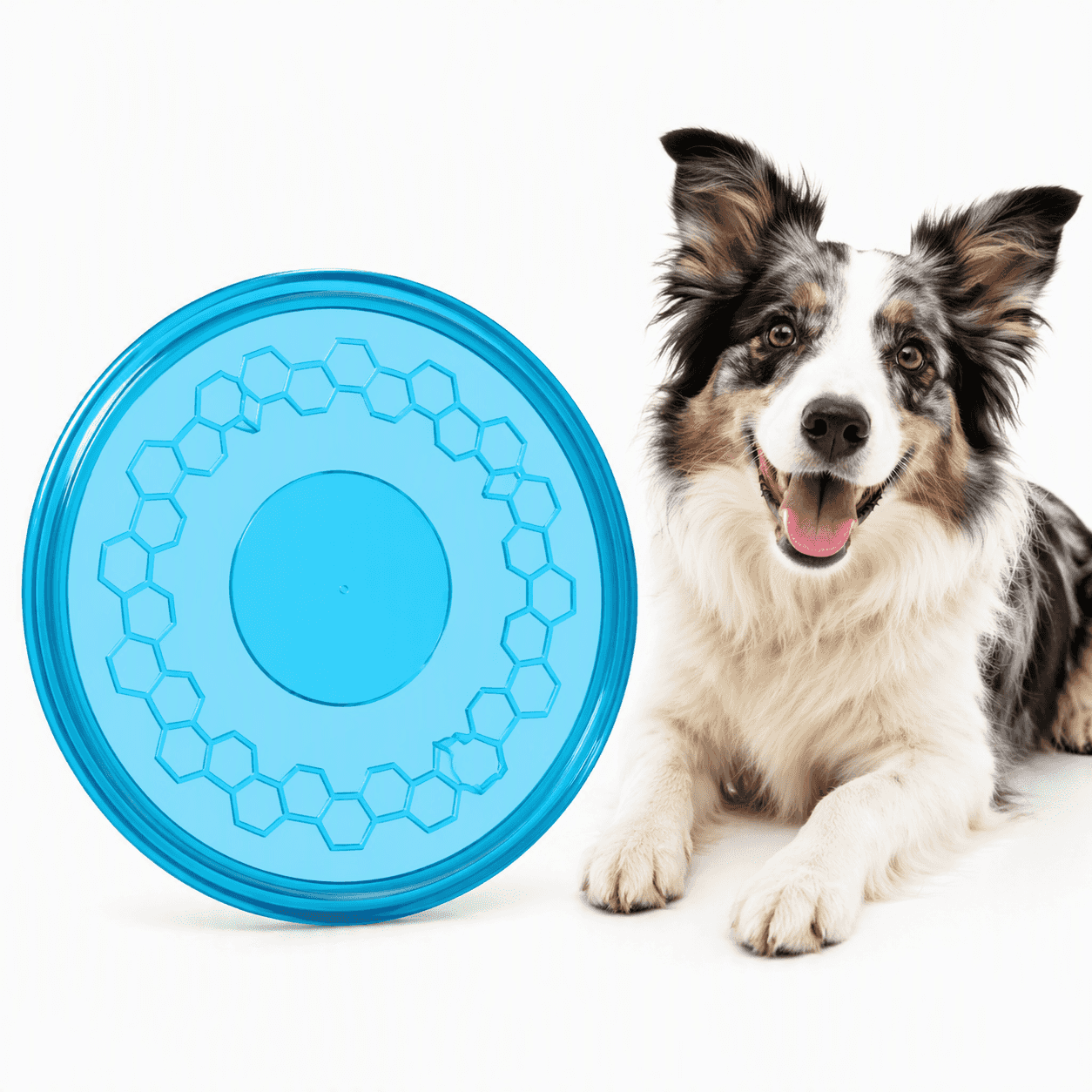 ZOLUX Hundespielzeug – TPR-Frisbee POP, 23 cm, Farbe Türkis