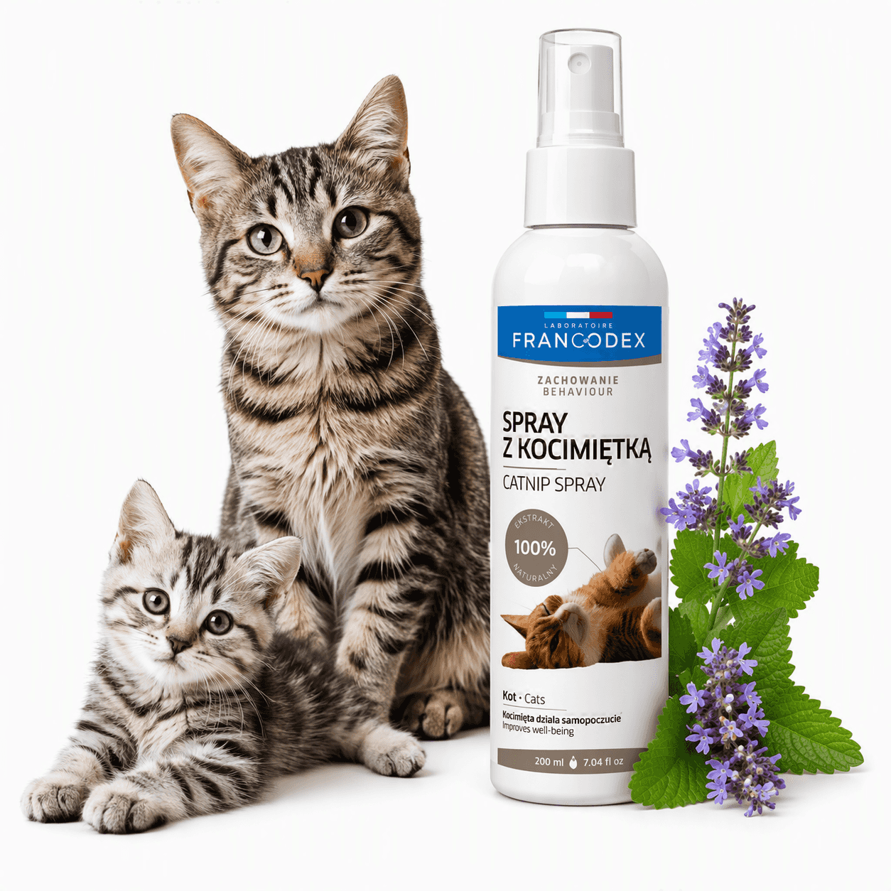 FRANCODEX PL Spray zur positiven Verhaltensförderung bei Kätzchen und Katzen 200 ml