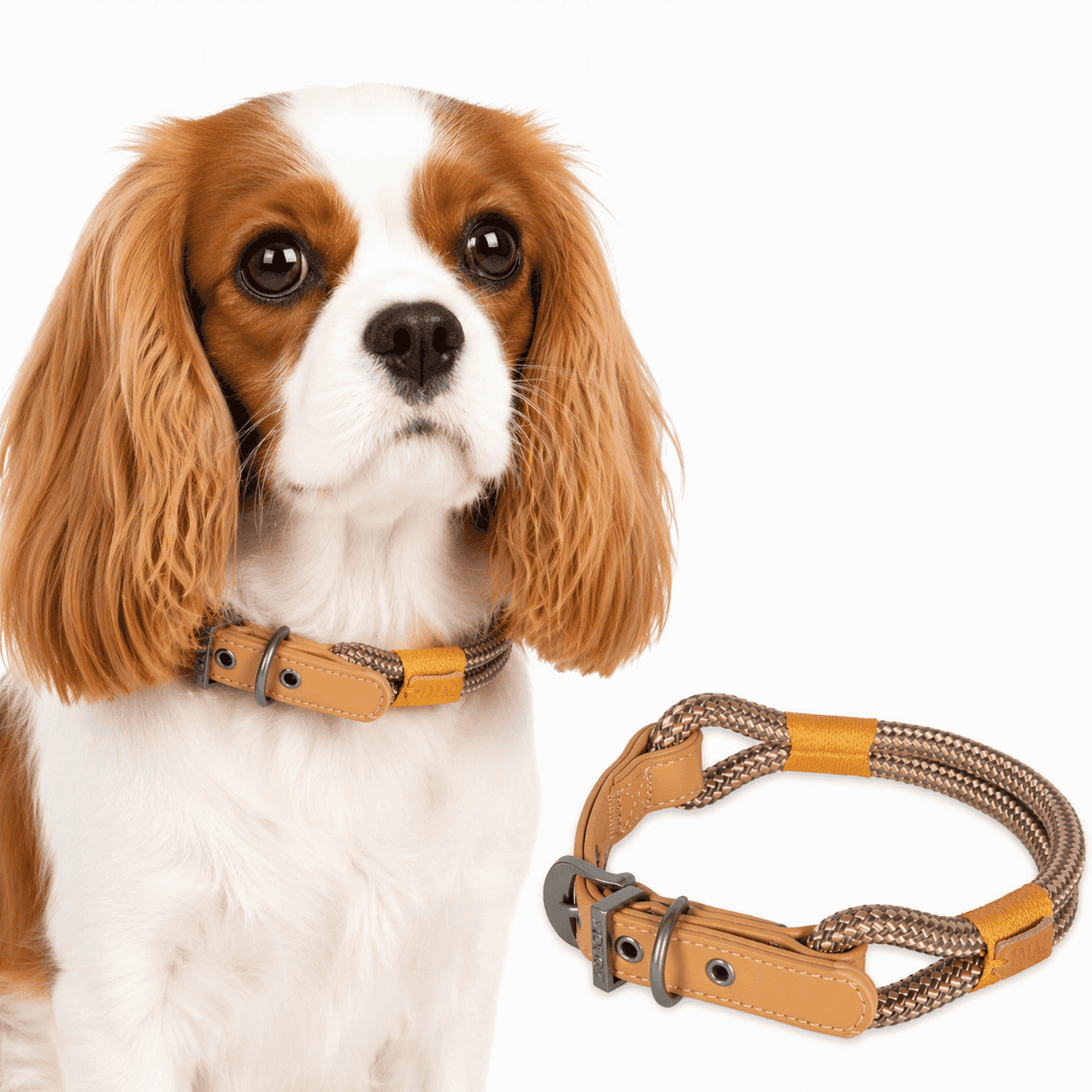 ZOLUX – Hundehalsband IMAO HYDE PARK 6 mm / 40 cm, Farbe: Braun