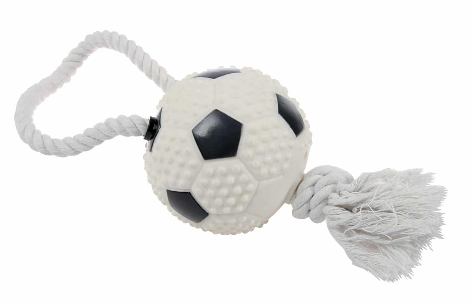 ZOLUX Hundespielzeug Fußball mit Schnur 42 cm