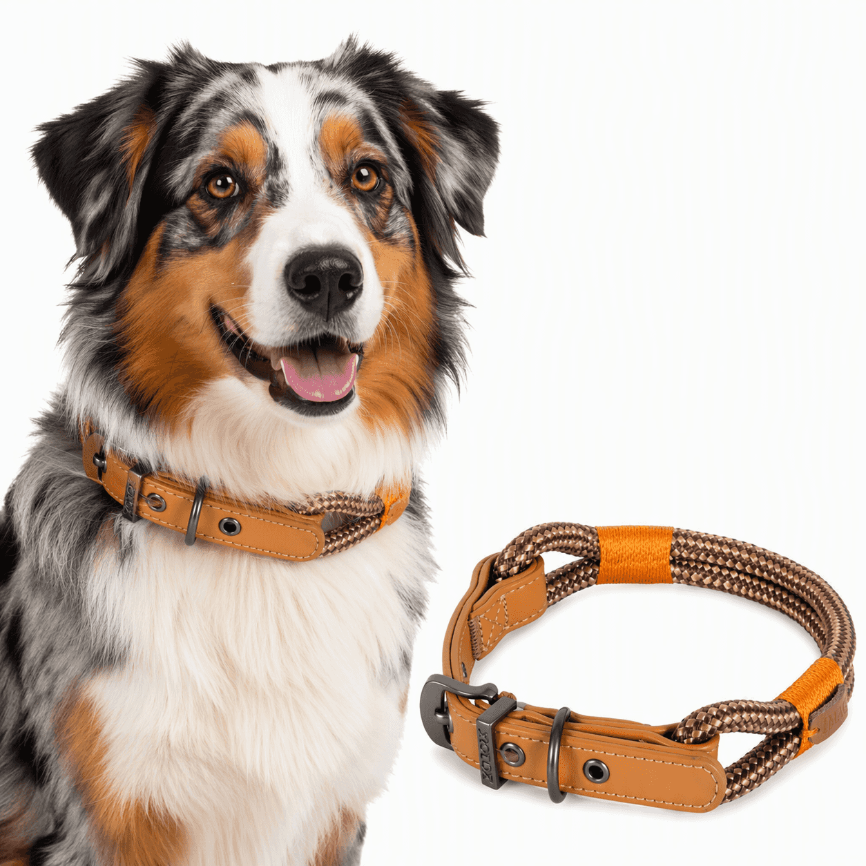 ZOLUX Hundehalsband IMAO HYDE PARK – 9 mm / 50 cm – Farbe: Braun