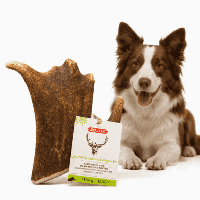 ZOLUX Natürlicher Snack für Hunde – Damhirschgeweih EASY L