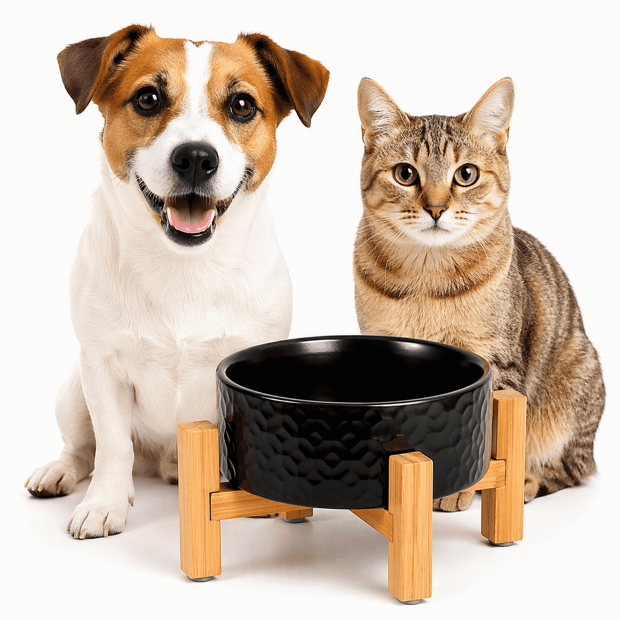 ZOLUX Keramiknapf für Hunde und Katzen KERAMO SOLO schwarz 300 ml