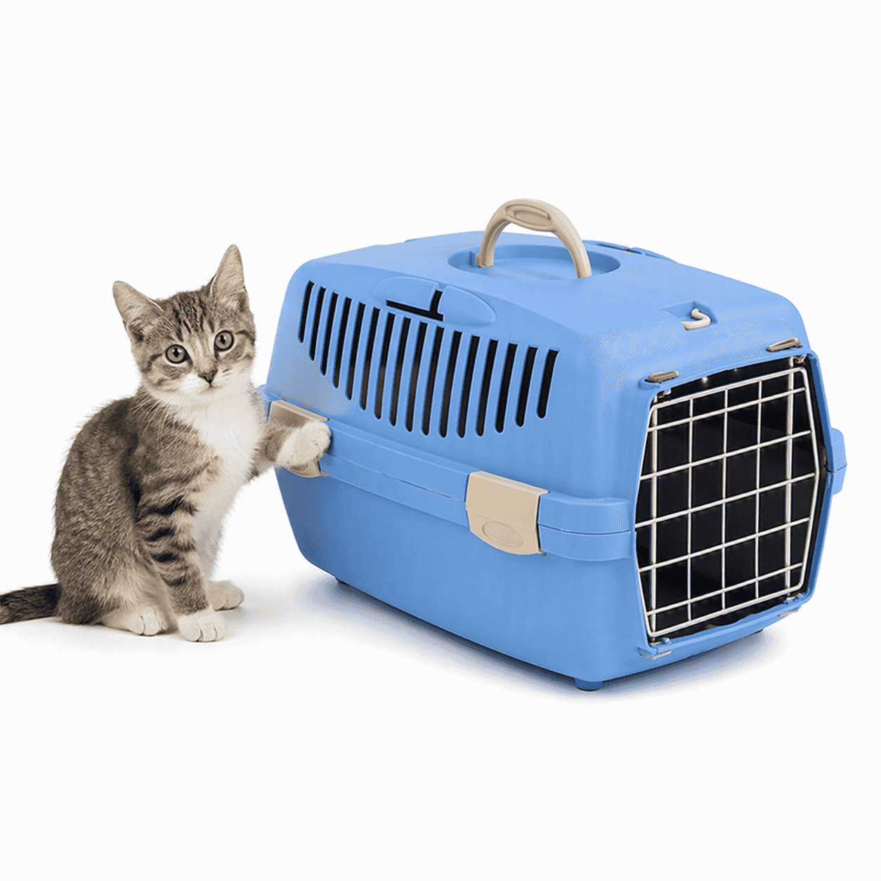 ZOLUX Transportbox für Hunde und Katzen GULLIVER 1 mit Metalltür, Farbe Blau