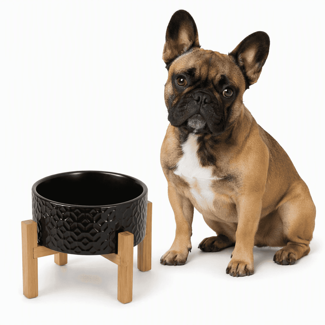 ZOLUX Keramiknapf für Hunde KERAMO SOLO Farbe: Schwarz 700 ml