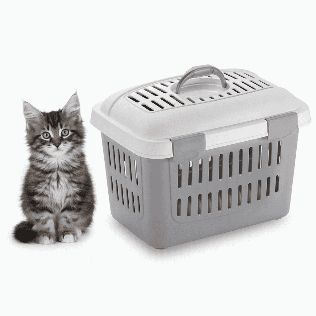 ZOLUX Transportbox für Hunde, Katzen und Nagetiere MIDI GULLIVER, Farbe Grau