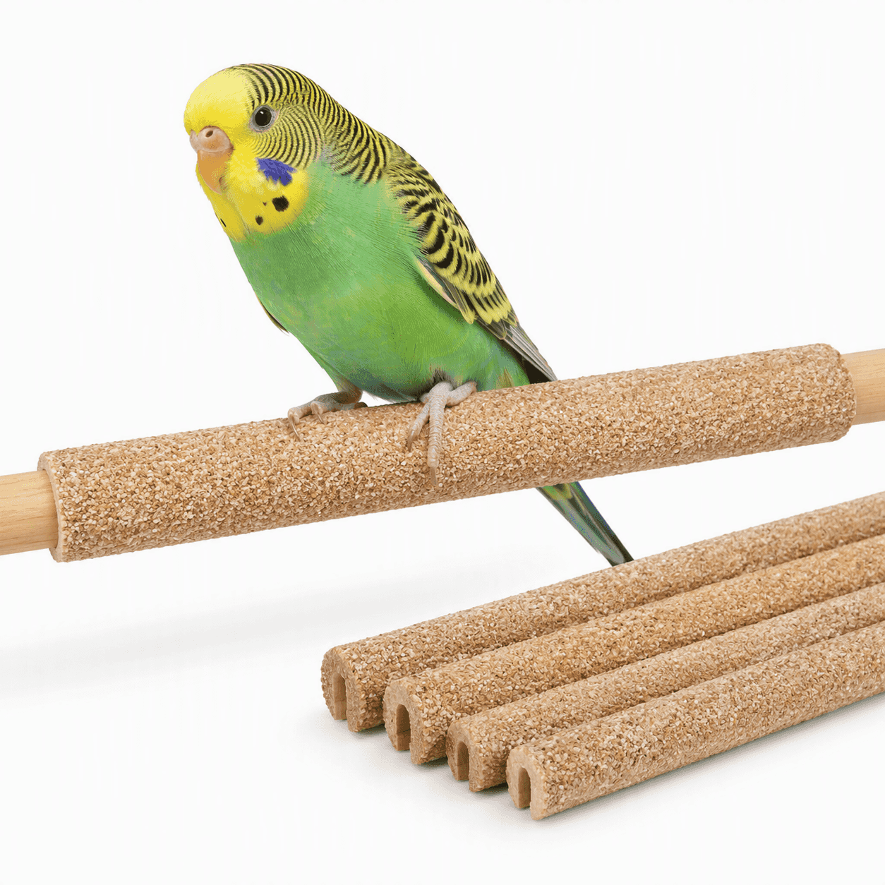 ZOLUX Schleifpapier für Vogelstangen 2/24 cm x4