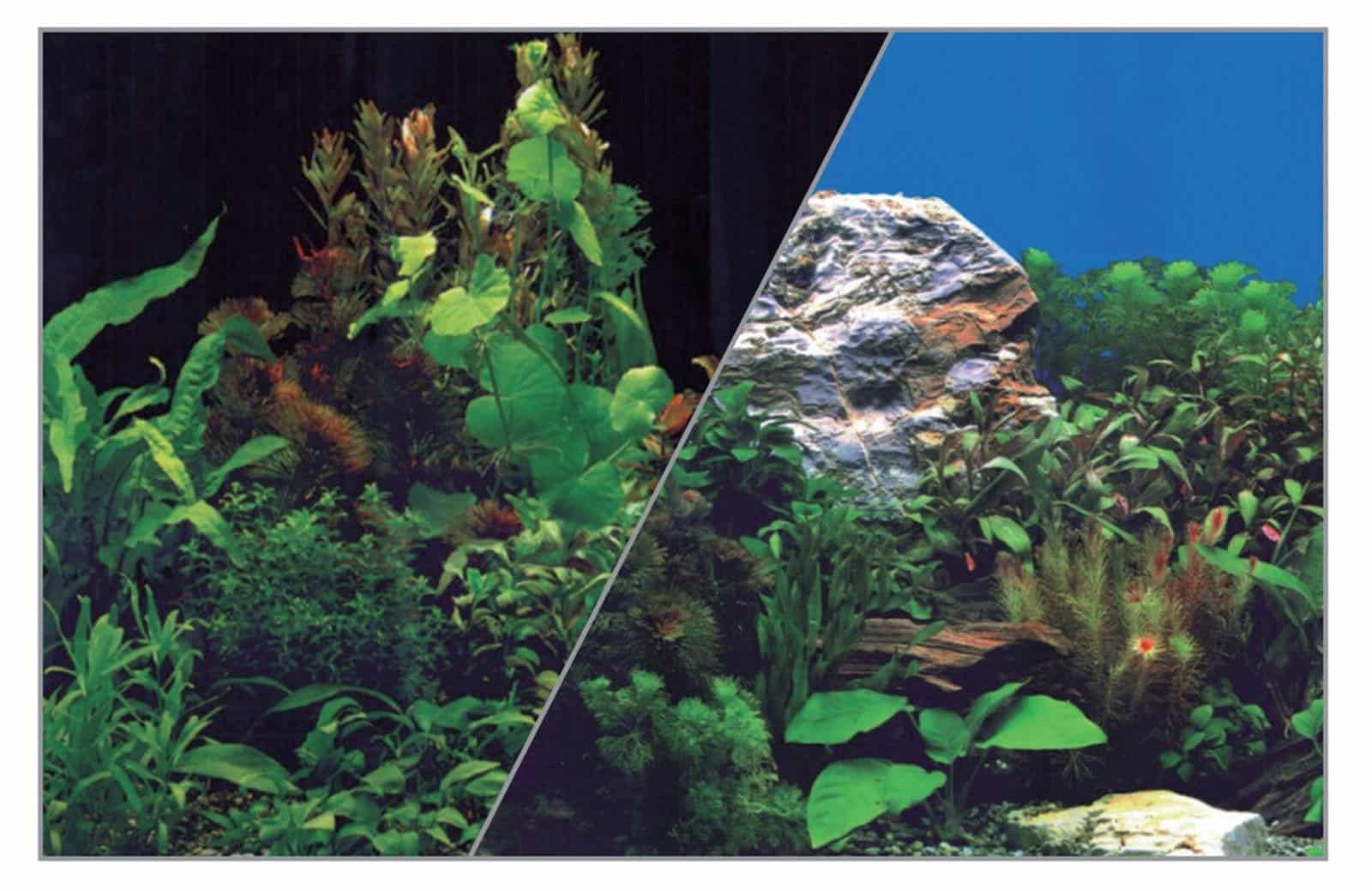 ZOLUX Aquarium-Hintergrund 30 x 40 cm Pflanzen Schwarz/Pflanzen Blau
