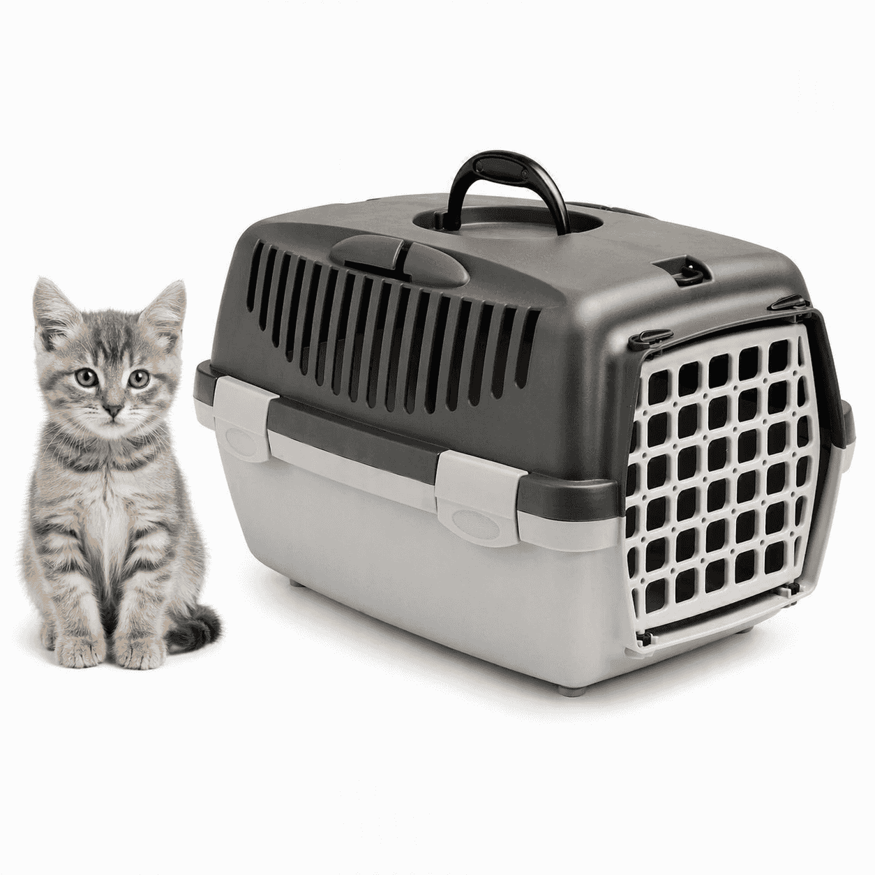 ZOLUX Transportbox für Hund, Katze GULLIVER 1 Kunststofftür Farbe: grau