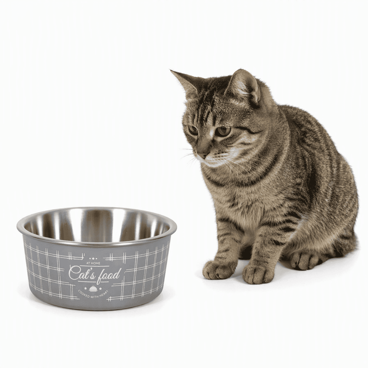 ZOLUX Rutschfester Hundenapf FOOD Farbe grau 400 ml
