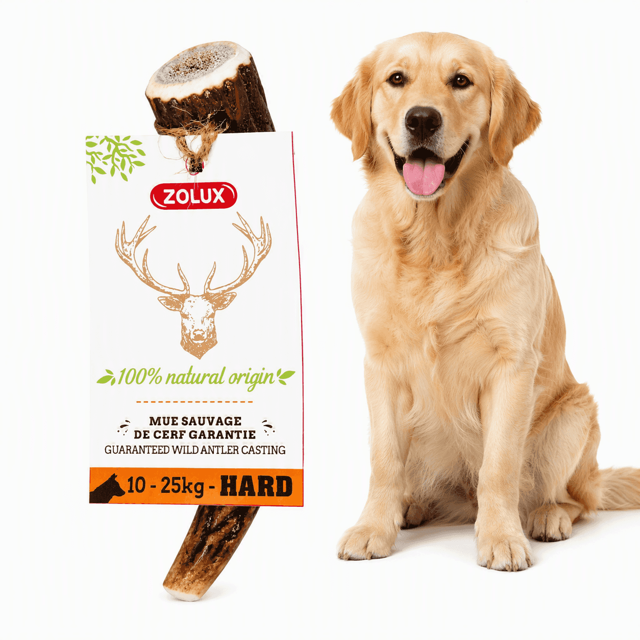 ZOLUX Natürlicher Snack für Hunde – Ganzes Hirschgeweih HARD Größe S