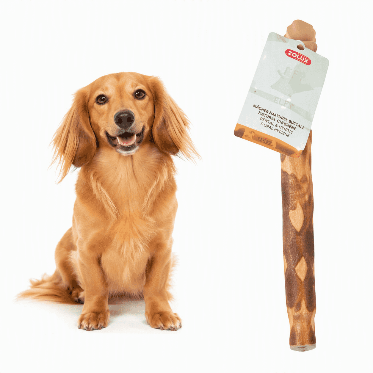 ZOLUX Natürlicher Snack für Hunde – Kauholz aus Olivenholz Größe S