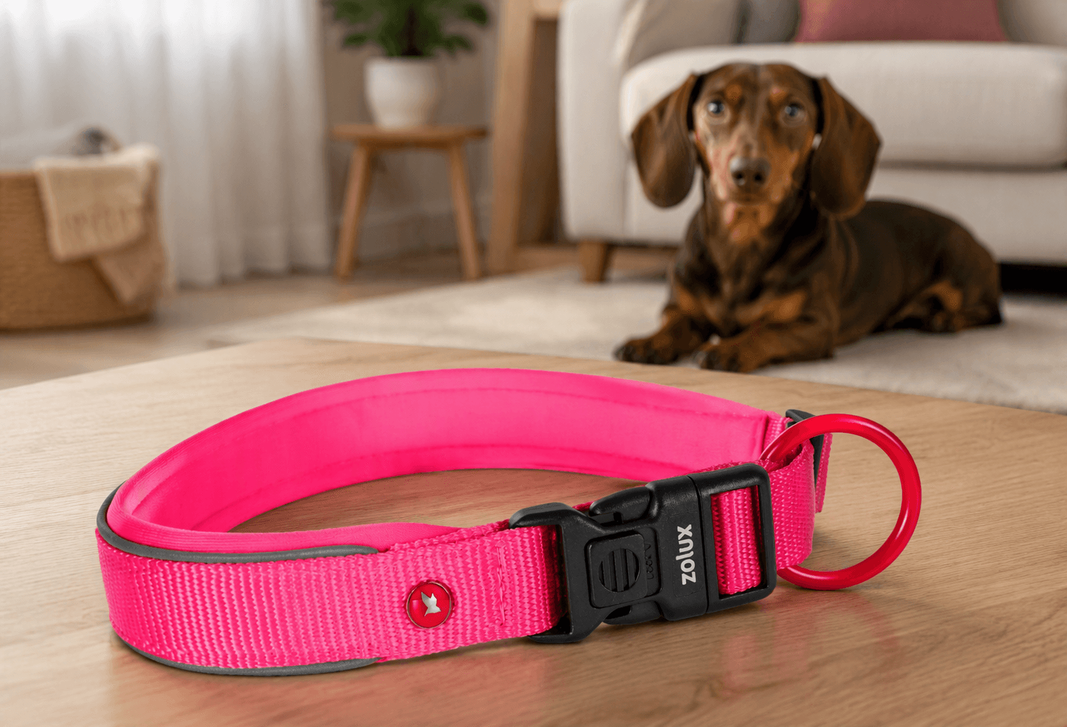 ZOLUX Premium-Nylon-Hundehalsband, Größe XS, 30–35 cm, 15 mm, fuchsia – Bild 3