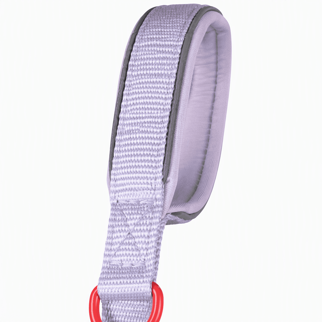 ZOLUX Premium-Nylon-Hundeleine, Größe M, 1,2 m, 20 mm, lila – Bild 4