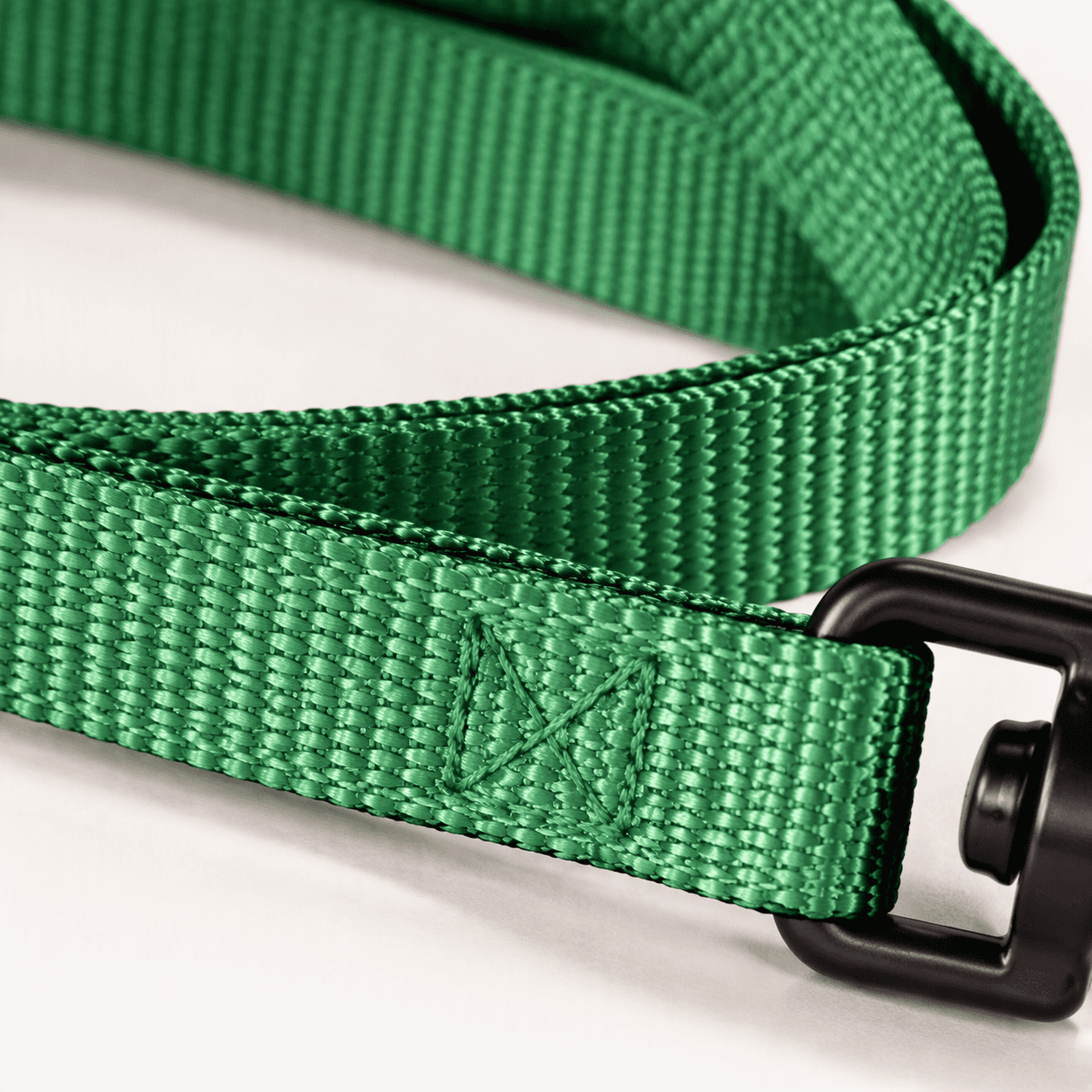 ZOLUX Klassische Nylon-Hundeleine, 1,20 m, 20 mm, grün – Bild 6