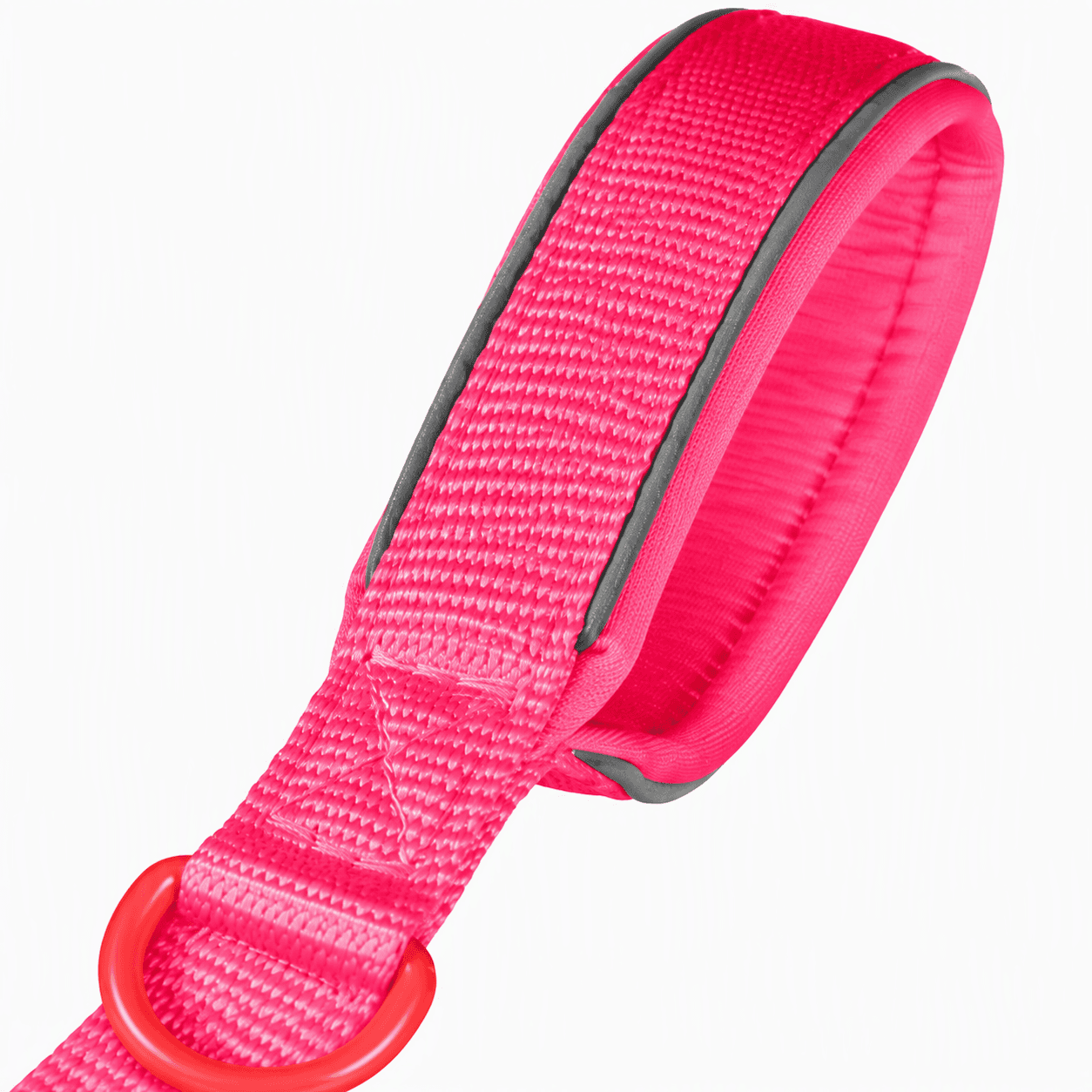 ZOLUX Premium-Nylon-Hundeleine, Größe M, 1,2 m, 20 mm, fuchsia – Bild 5