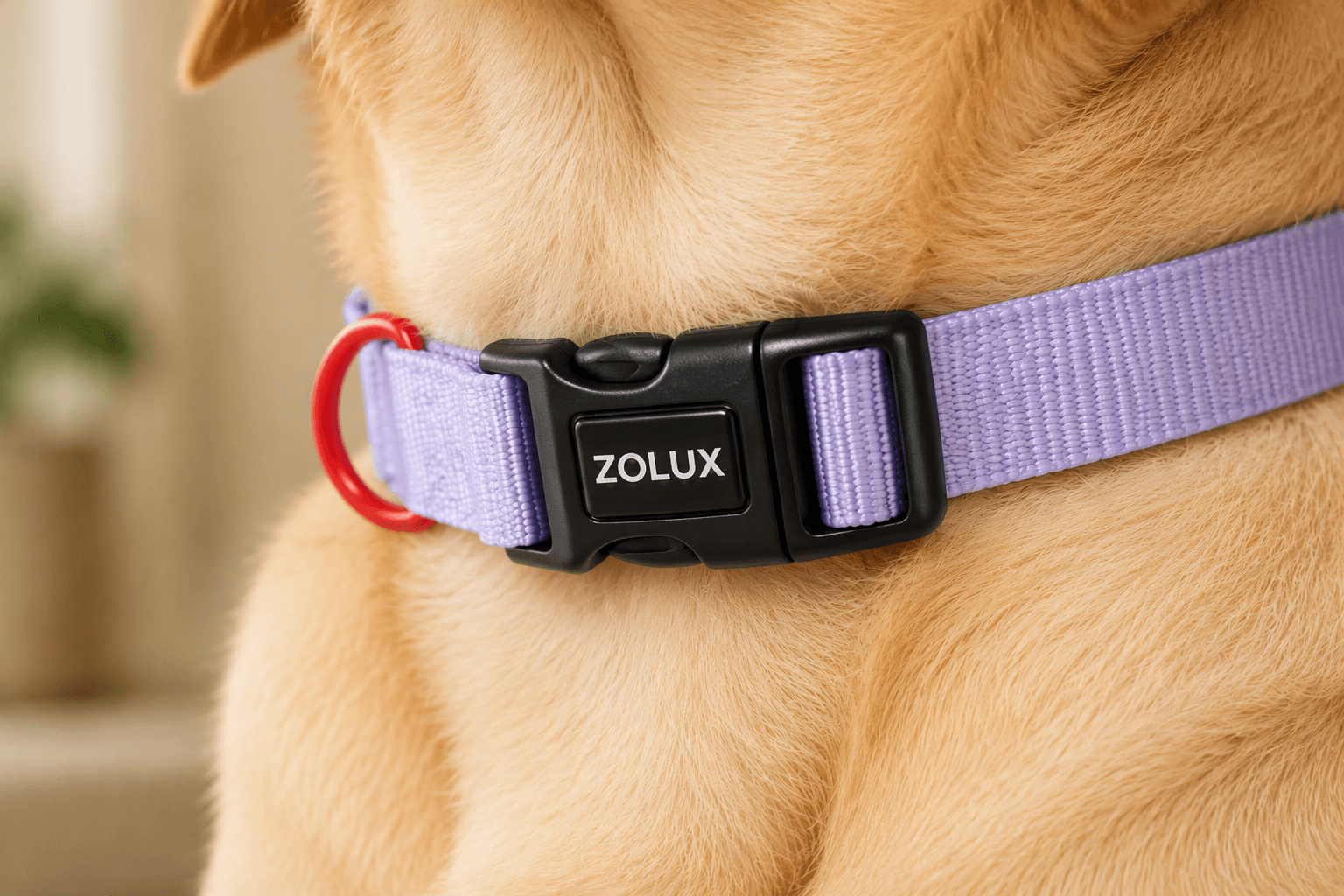 ZOLUX Klassisches Nylon-Hundehalsband, 37–58 cm, 25 mm, lila – Bild 5