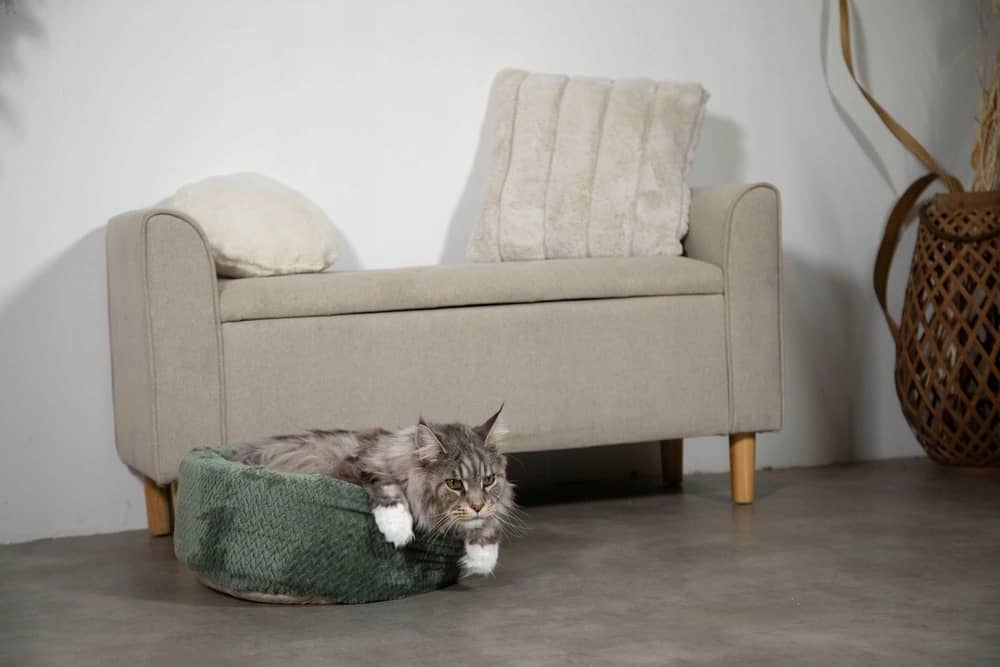 ZOLUX OLYMPE XL Rundes Katzenbett, 54 x 54 x 23 cm, khaki – Bild 6