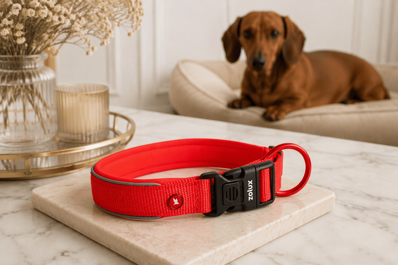 ZOLUX Premium-Nylon-Hundehalsband, Größe XS, 30–35 cm, 15 mm, rot – Bild 3