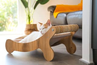 ZOLUX Katzenliege und Kratzbrett BOREAL, beige – Bild 3