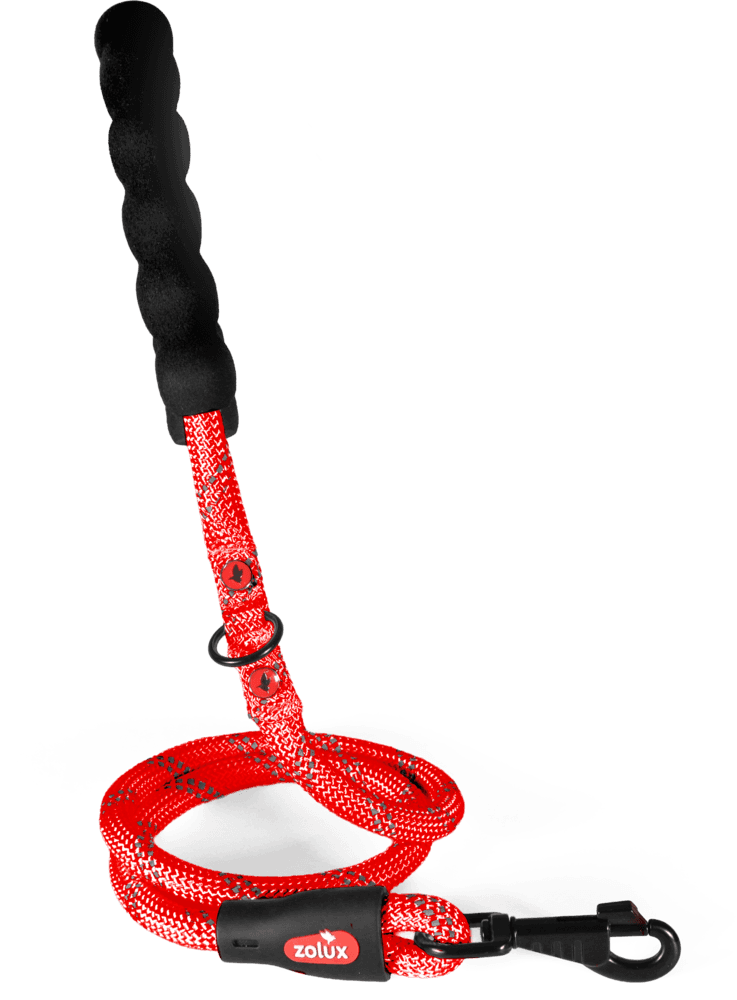 ZOLUX Seilleine für Hunde, 10 m, 13 mm, rot – Bild 4