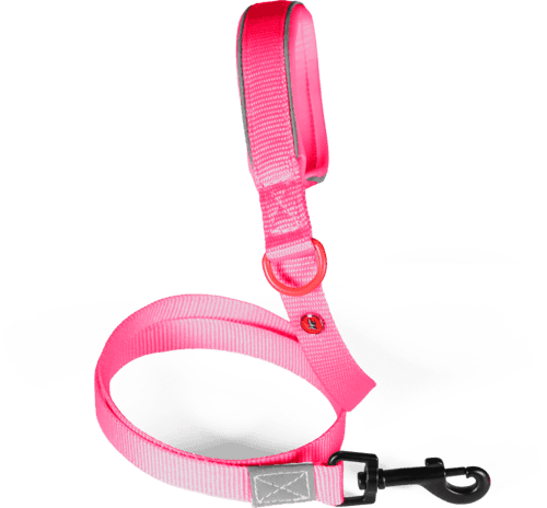 ZOLUX Premium-Nylon-Hundeleine, Größe XL, 1,2 m, 25 mm, fuchsia – Bild 2