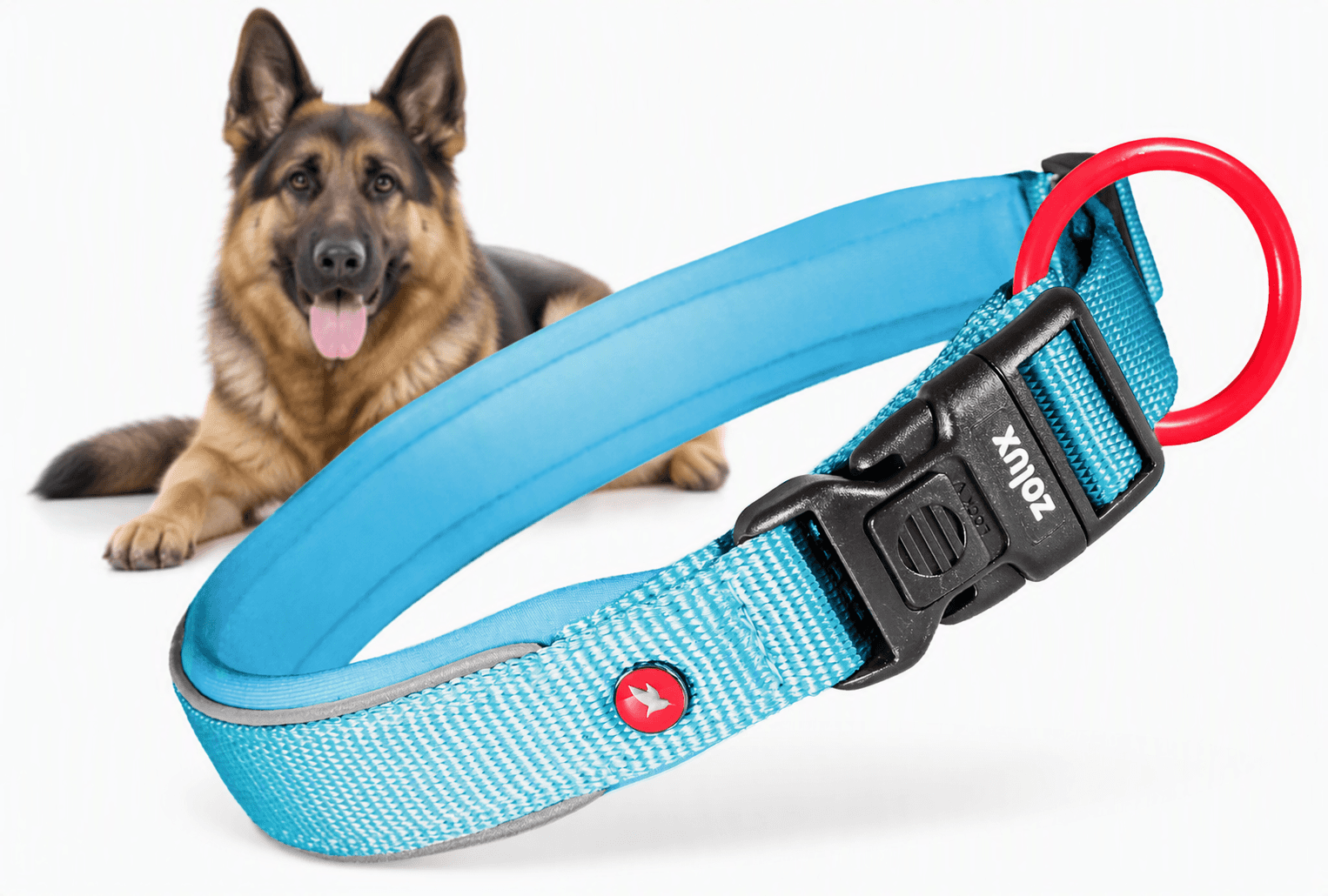 ZOLUX Premium-Nylon-Hundehalsband, Größe L, 45–50 cm, 25 mm, türkis – Bild 1