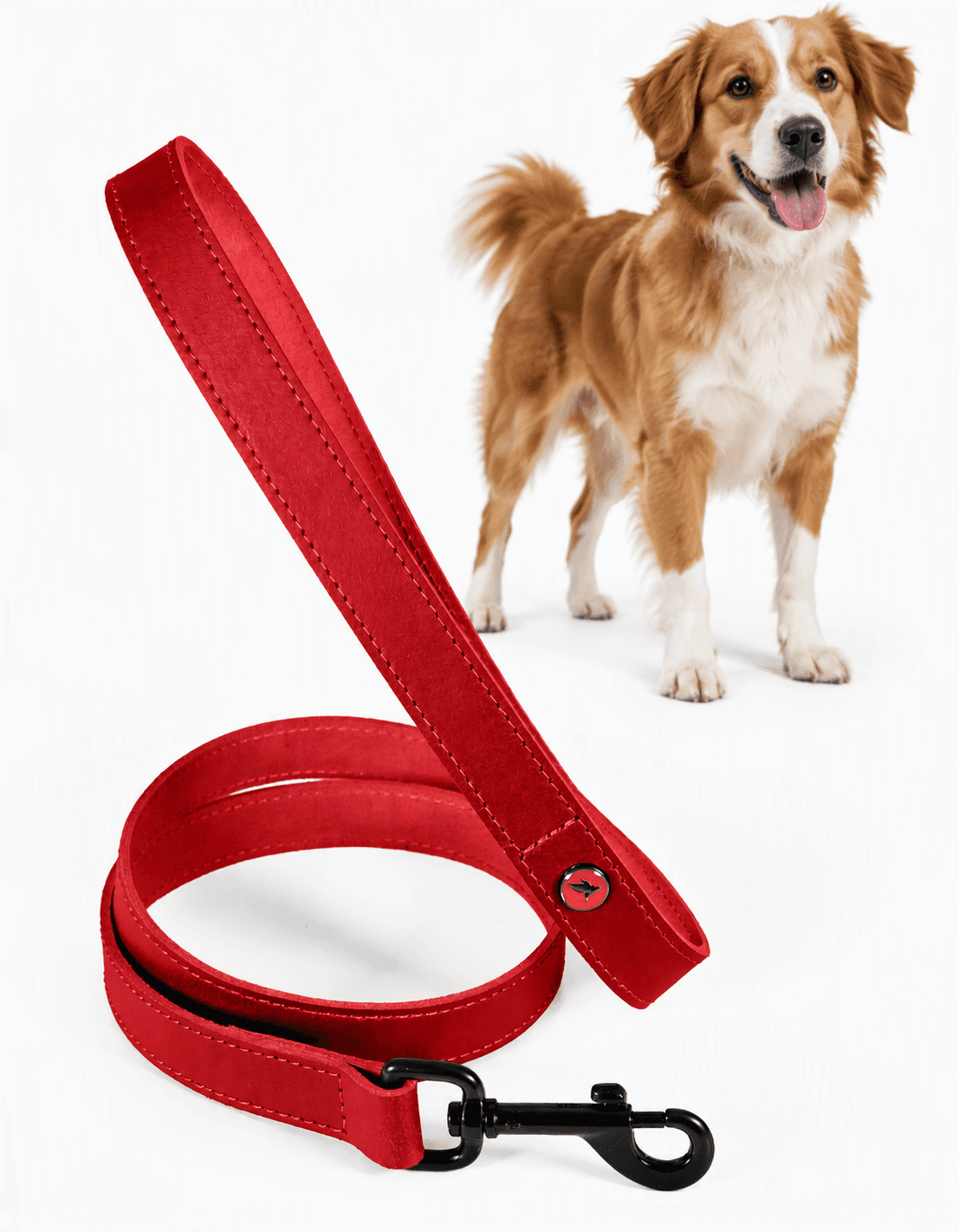 ZOLUX Klassische Lederleine für Hunde, 1 m, 20 mm, bordeauxrot – Bild 1
