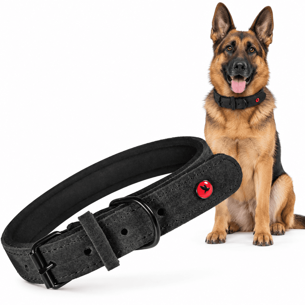 ZOLUX Komfort-Lederhalsband für Hunde, 41–53 cm, 25 mm, schwarz – Bild 1