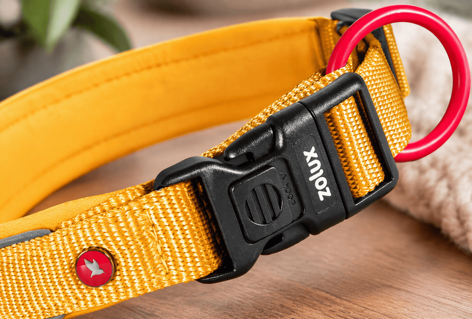 ZOLUX Premium-Nylon-Hundehalsband, Größe L, 45–50 cm, 25 mm, gelb – Bild 5