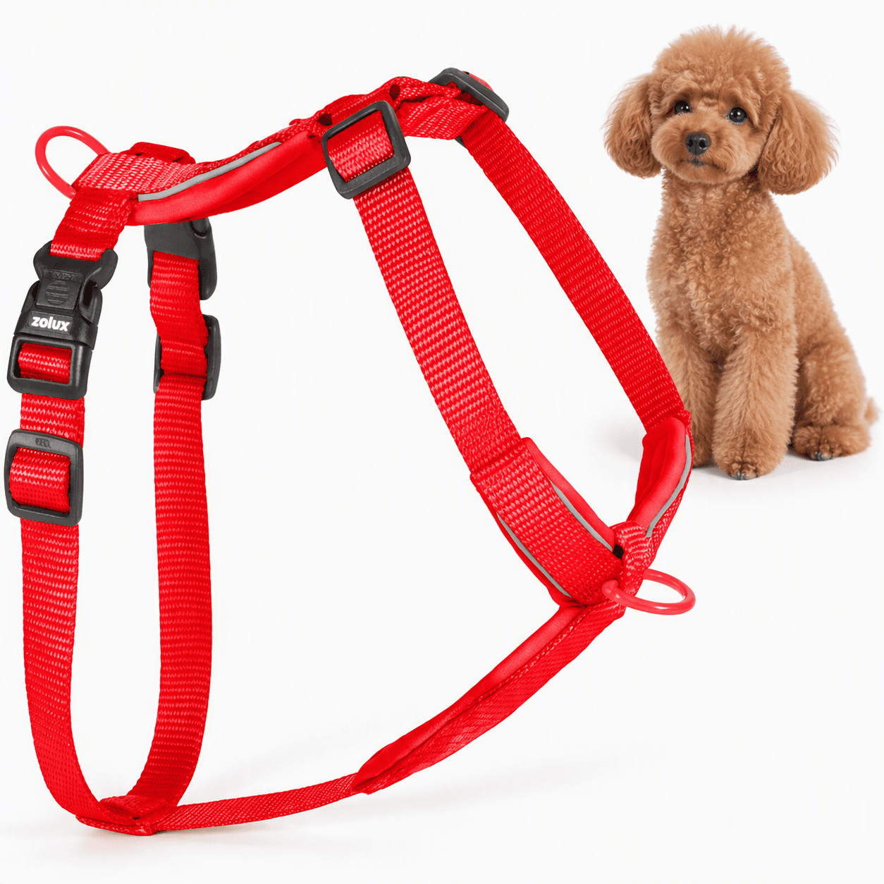 ZOLUX Premium-Nylon-Hundegeschirr, Größe XS, 30–40 cm, 15 mm, rot – Bild 1