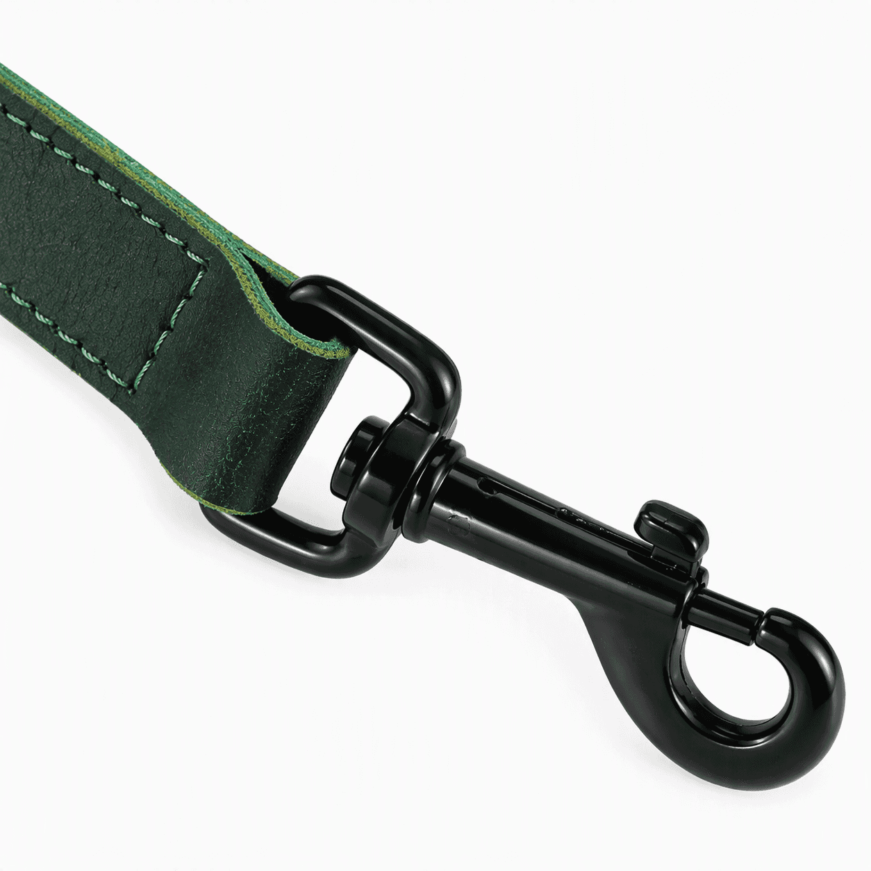 ZOLUX Klassische Lederleine für Hunde, 1 m, 15 mm, grün – Bild 5