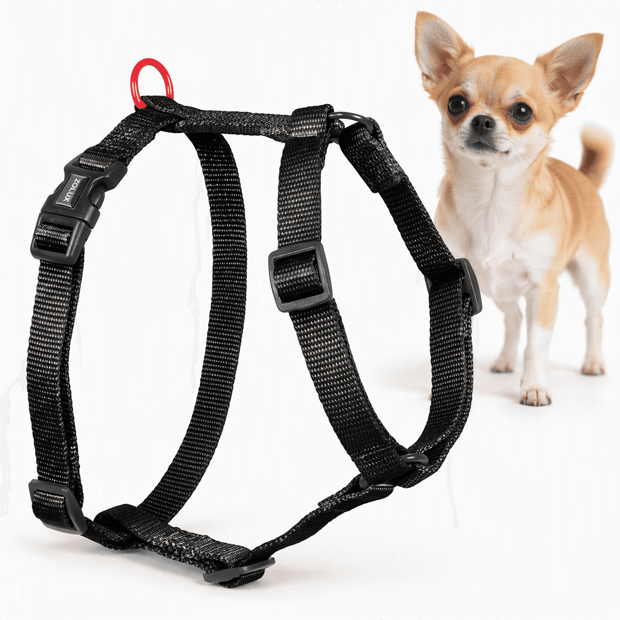 ZOLUX Klassisches Nylon-Hundegeschirr, 23–39 cm, 10 mm, schwarz – Bild 1