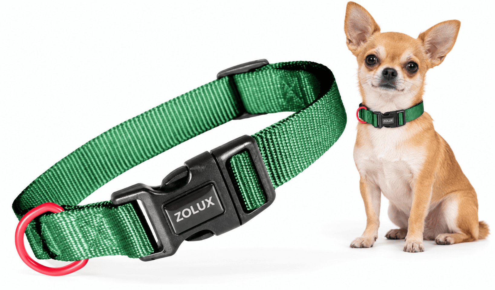 ZOLUX Klassisches Nylon-Hundehalsband, 21–36 cm, 10 mm, grün – Bild 3