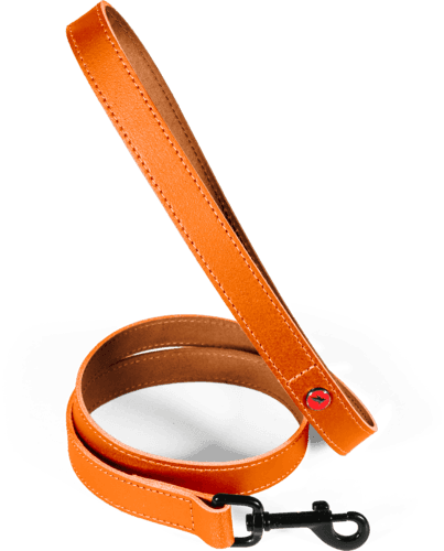 ZOLUX Klassische Lederleine für Hunde, 1 m, 20 mm, orange – Bild 2