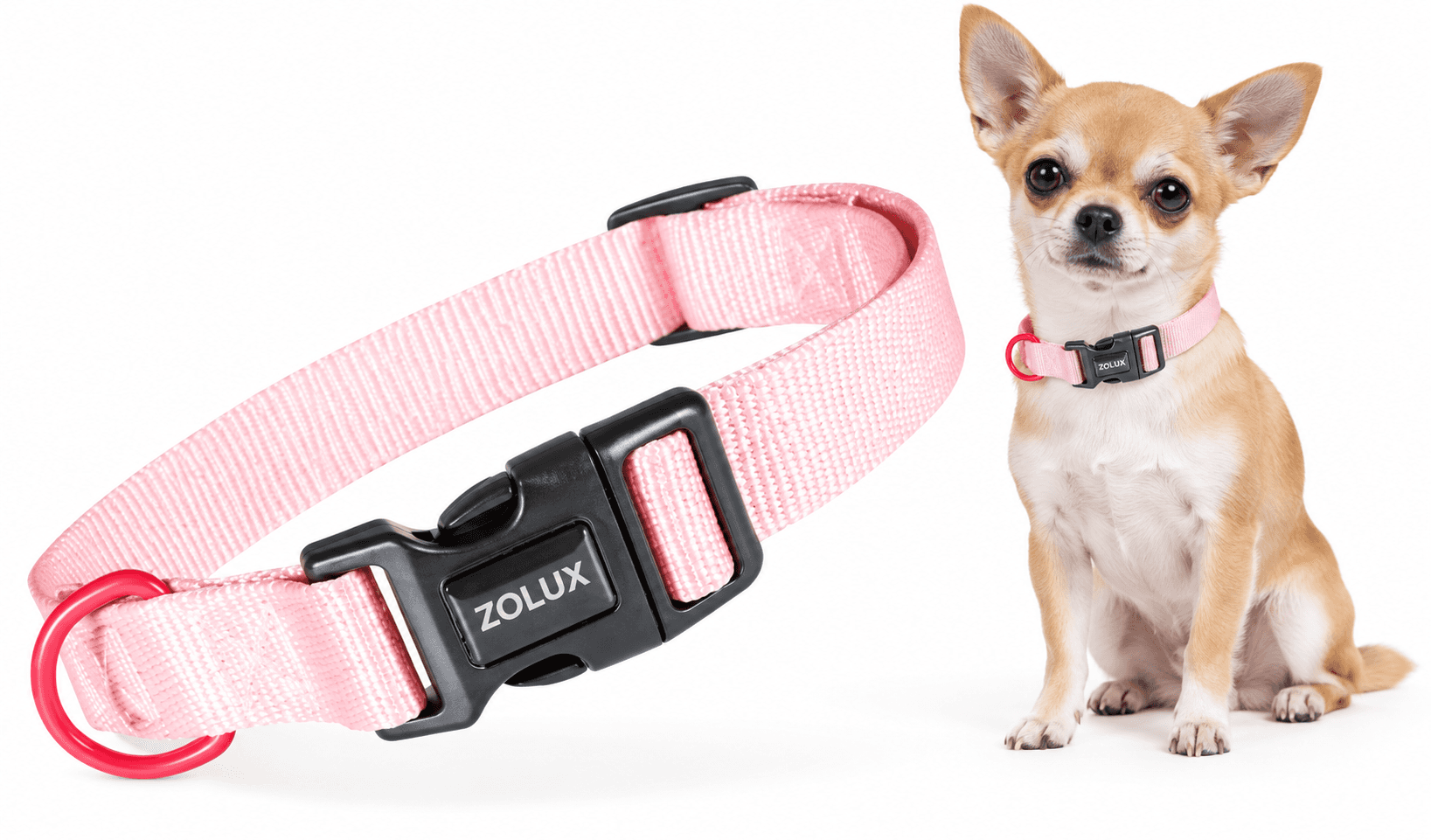 ZOLUX Klassisches Nylon-Hundehalsband, 21–36 cm, 10 mm, rosa – Bild 1