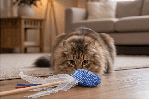 ZOLUX MALO Katzenspielangel mit Muschel, blau – Bild 5