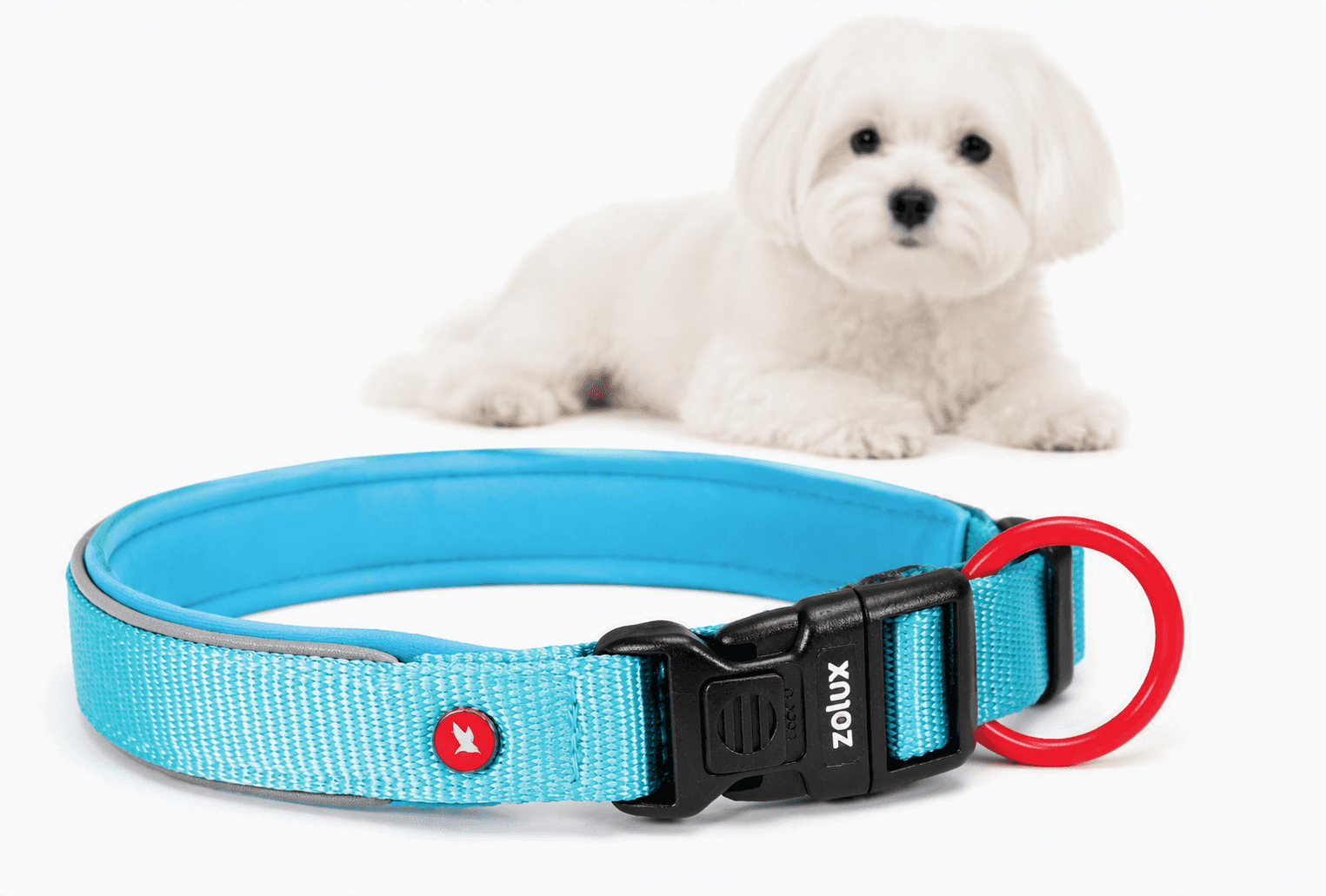 ZOLUX Premium-Nylon-Hundehalsband, Größe XXS, 25–30 cm, 15 mm, türkis – Bild 1