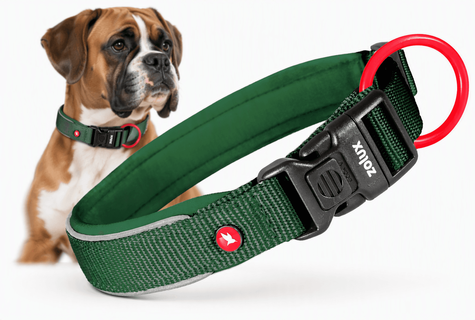 ZOLUX Premium-Nylon-Hundehalsband, Größe XL, 50–55 cm, 25 mm, grün – Bild 1