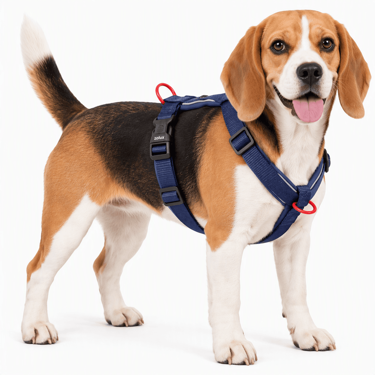 ZOLUX Premium-Nylon-Hundegeschirr, Größe M, 50–74 cm, 20 mm, marineblau – Bild 7