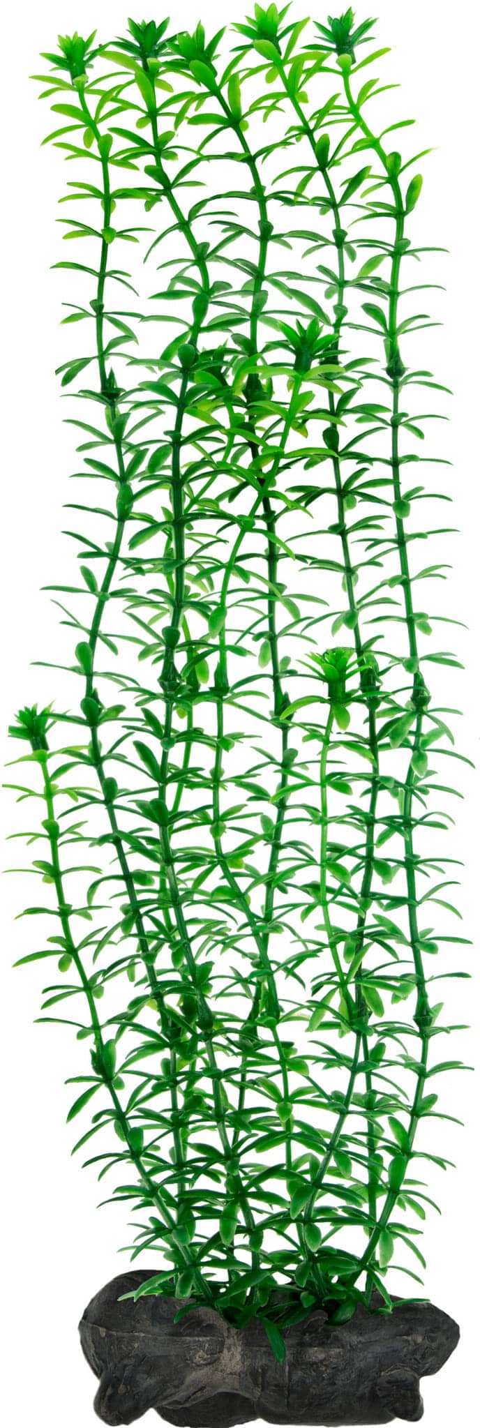 Miniaturbild 2